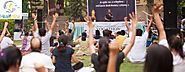 Best Yoga Classes in Udaipur