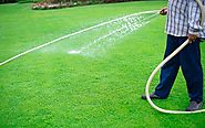 What Lawn Care Service Do to Maintain the Beauty of Your Lawn