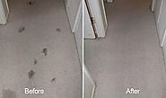 Top Benefits Of Hiring Professional Carpet Restoration Company