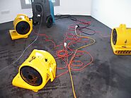 What You Need to Know to Begin Water Damage Carpet Restoration