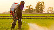 How Toxic is the World’s Most Popular Herbicide Roundup? | The Scientist Magazine®
