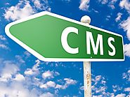 Customized Website through CMS at Openwave Computing New York