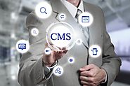 Get Customized CMS Website for any type of Business