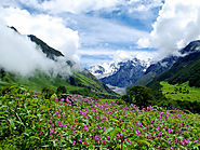 Valley of Flowers UNESCO World Heritage Site for Rich Diversity in Flora and Fauna