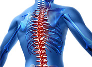 Painless Treatment By Chiropractic Clinic In Nerang