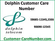 Dolphin Customer Care Number Dial Toll Free Customer Helpline Support Number
