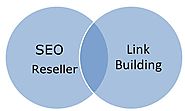 Best SEO Packages And Link Building For SEO Success