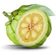 Garcinia Cambogia News Alert - Critical Facts Now Released