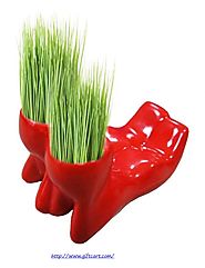 Cool planters from Giftcart.com !!! #giftcart