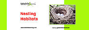 Nesting Habitats - EVS Class 3 / Class 4 | Birds and their nests