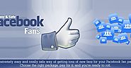 Online Earning by Getting More Facebook Likes