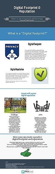 Digital Footprint and Reputation Infographic