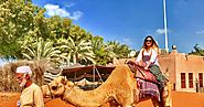 Discover the desert of Abu Dhabi with its exciting desert safari tours!!