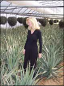 The Aloe Vera Craze-Oleda and Company, Inc.