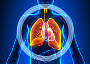 Ways to Reduce Symptoms of Chronic Obstructive Pulmonary Disease