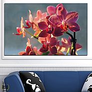 Картина пано за стена от 1 част - Букет красиви орхидеи - HD-252-1 - Smart Choice