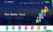 Hidden Brains: Top Web & Mobile App Development Company in USA & India