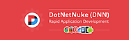 Custom DotNetNuke Development Company
