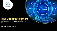 Importance Of Low Code Development: Overview, Benefits And Uses - Hidden Brains