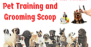 Pet Training and Grooming Scoop