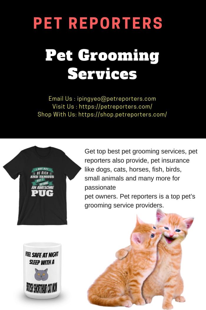 Pet Grooming Services A Listly List