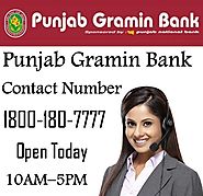 Punjab Gramin Bank Contact Number Toll Free | Check Customer Care, Email