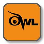 The Online Writing Lab (OWL) at Purdue University