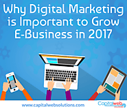 Digital Marketing is important to Grow E-Business in 2017