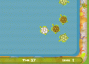 Turtle Games for Kids Online - Play Free Games with All Kinds of Pets