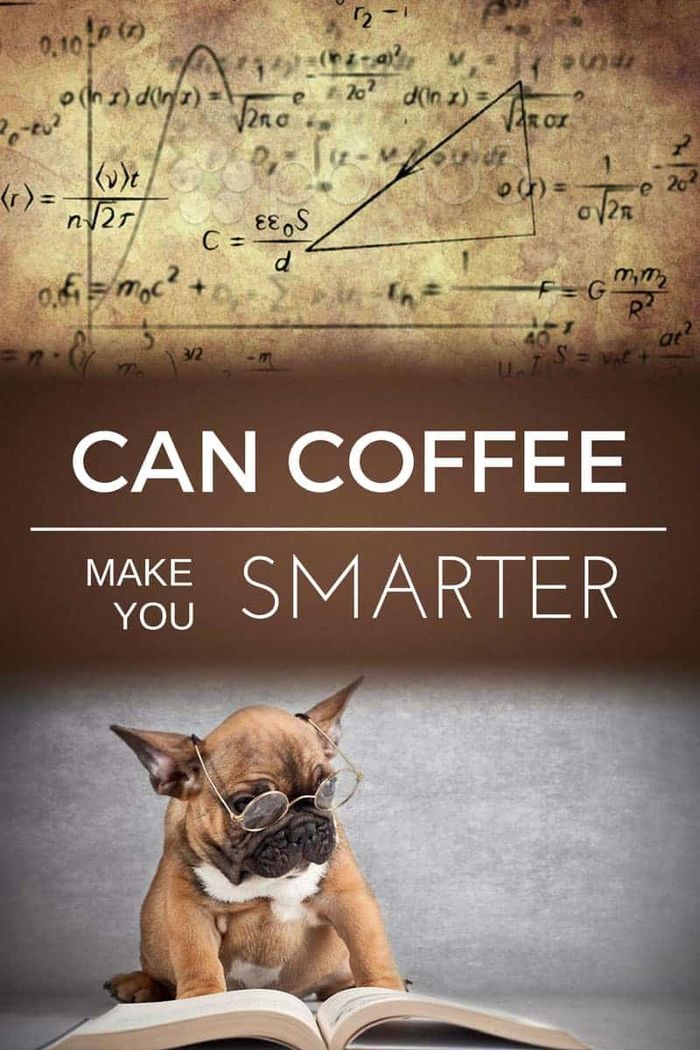 Coffee Guide A Listly List