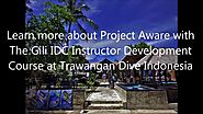 Test Yourself - Project AWARE - PADI IDC Gili Islands