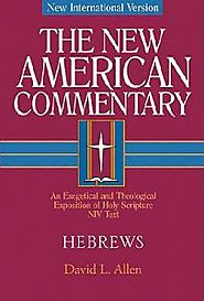 Question and Answer with David Allen on Hebrews (NAC)