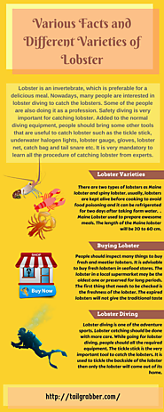 Various Facts and Different Varieties of Lobster
