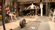 Weight Lifting 101: The Definitive Guide to Weight Lifting