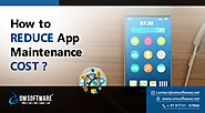 How to reduce App maintenance Cost?