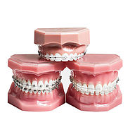 Sydney Orthodontics - North Shore Dentistry