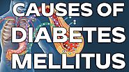 Causes of Diabetes | 6 Tips for Taking Control
