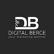Digitalberge - Most Trusted SEO Service Provider Company Agency in Delhi India