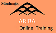 Ariba Training | Ariba 14x Certification Training with Job Assistance - MindMajix