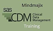 SAS CDM Training By Industry Experts - Online Certification Course