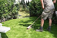 Determining the Ideal Time to Invest in an Artificial Turf Installation in Denver, CO