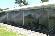 Barn misting systems for your animals