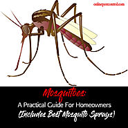 Mosquitoes: A Practical Guide For Homeowners (Includes Best Mosquito Sprays)