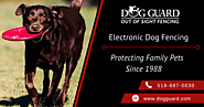 Dog Guard - Electronic Dog Fencing