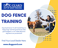 Dog Fence Training With Certified Experts
