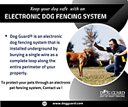 Keep Your Dog Safe Using Electronic Dog Fencing System