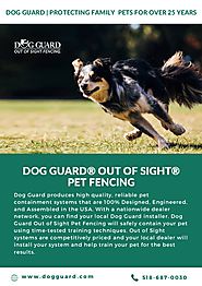 Effective Electric Dog Fences To Protect Your Dog
