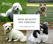 Best Type of Fencing For Your Pet