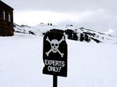 The Expert Enough Manifesto