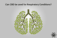 What if CBD can be used for Respiratory Conditions?